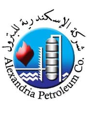 Partner 6